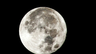 Los científicos creen que los restos de un cohete se estrellaron contra la Luna 