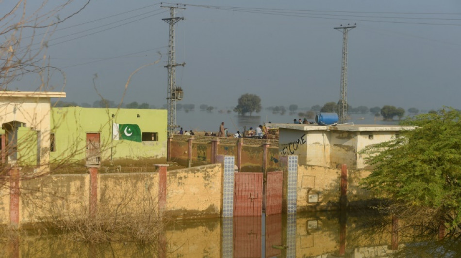 Pakistan flood recovery needs 'massive' investment: UN