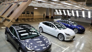 Tesla China exports only 60 cars in March as Covid hits auto sector