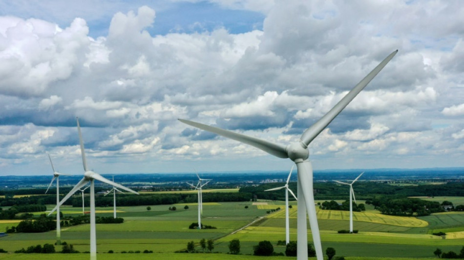 Klimaschutz kontra Artenschutz: Windräder verdrängen Fledermausarten von Gewässern