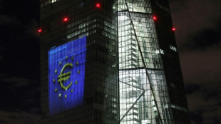 ECB greenlights next stage of digital euro project