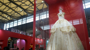 Ballgowns, surveillance and cloning for sale at China pet fair